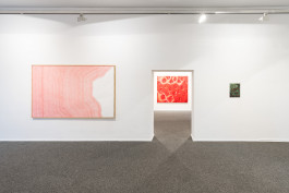 Exhibition view with works by Irene Hardjanegara and E. M. C. Collard 