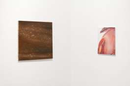 Exhibition view with work by E. M. C. Collard 