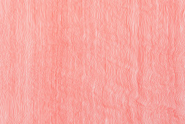 work by Irene Hardjanegara 