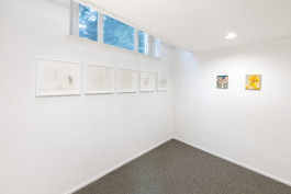 Exhibition view with work by E. M. C. Collard 