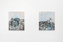 Exhibition view with works by E. M. C. Collard 