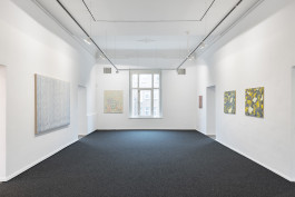 exhibition view with works by Irene Hardjanegara and E. M. C. Collard 
