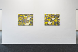 Exhibition view with works by E. M. C. Collard 