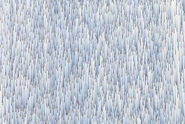 Work by Irene Hardjanegara 