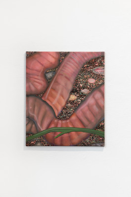 Work by E. M. C. Collard 