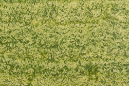 work by Irene Hardjanegara 