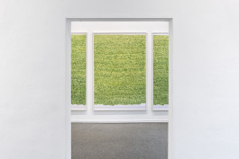 Exhibition view with works by Irene Hardjanegara 